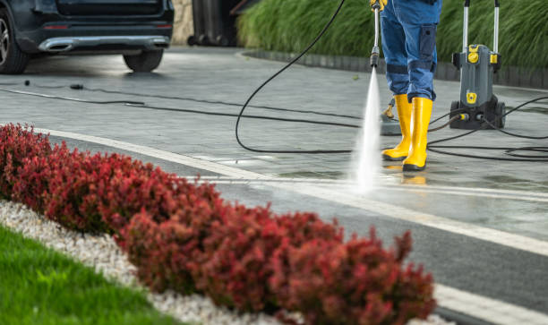 Professional Pressure Washing in Rapid City, MI