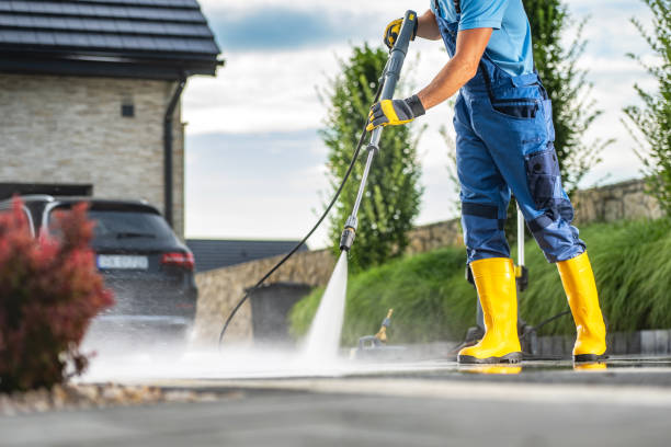 Best Roof Pressure Washing  in Rapid City, MI